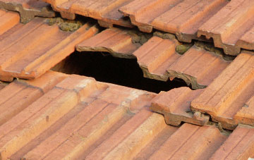 roof repair Butterknowle, County Durham
