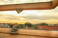 rated Butterknowle roof window companies